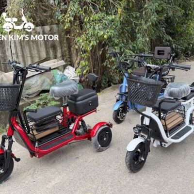 Xe điện 3 bánh mini